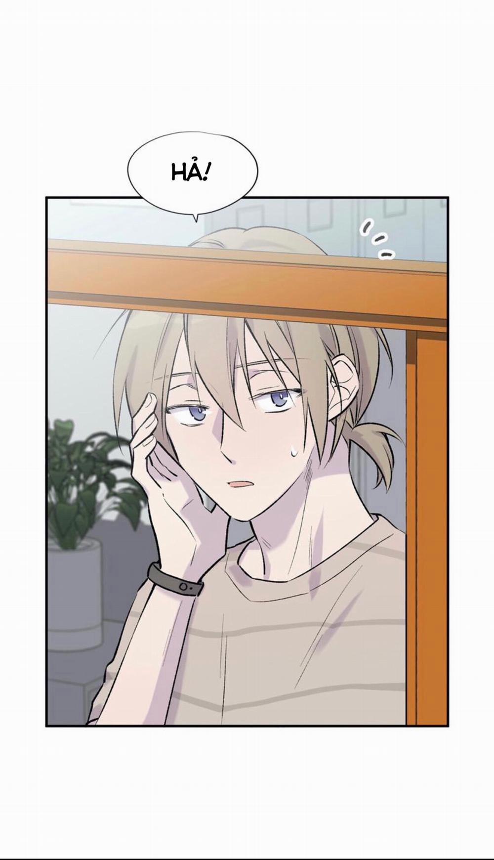 Đừng Viết Nữa, Tác Giả Thân Mến! 6 trang 14