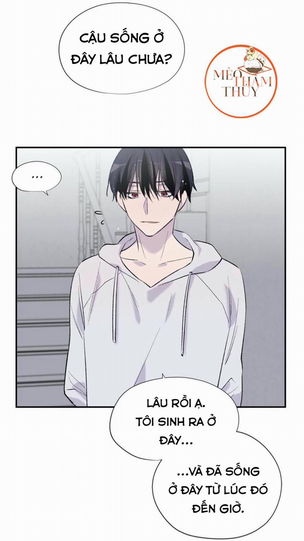 Đừng Viết Nữa, Tác Giả Thân Mến! 7 trang 42