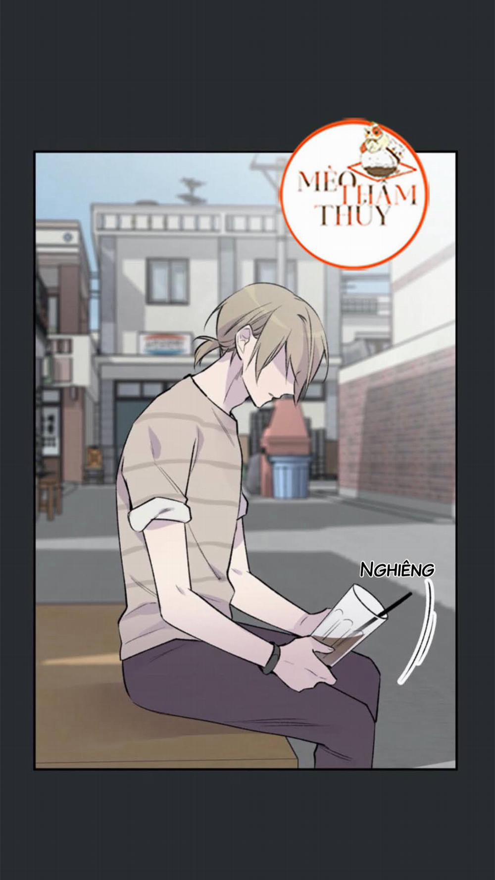 Đừng Viết Nữa, Tác Giả Thân Mến! 8 trang 13