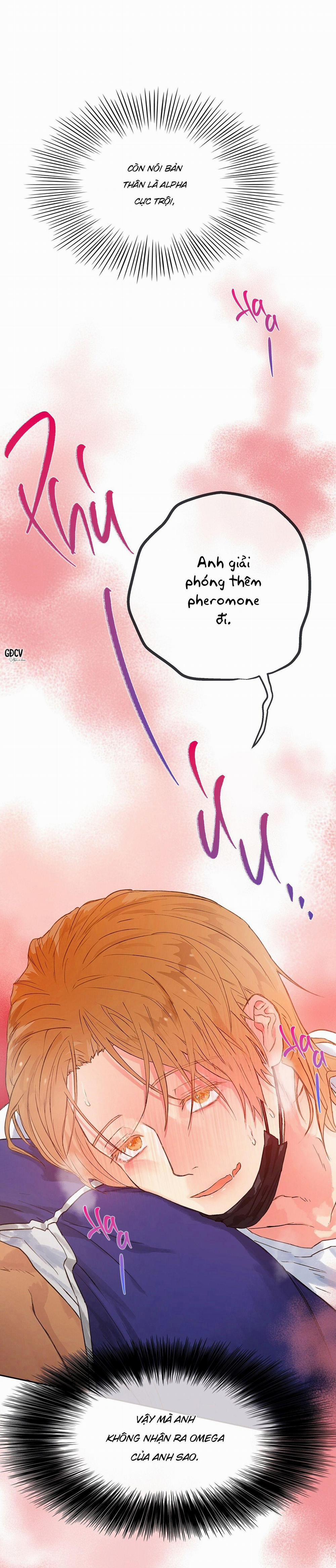 Đứng Yên, Nhúc Nhích Là Cứng Đó! 32 NT10 trang 34