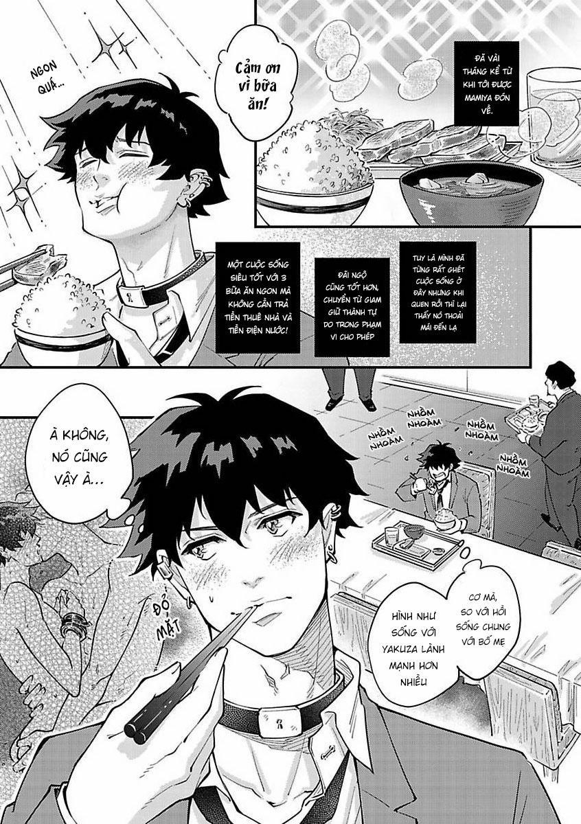 Được Đại Ca Yakuza Cưng Chiều 6 trang 6
