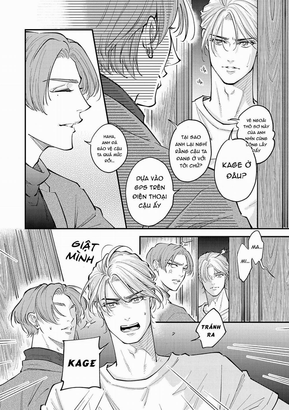 Được Đại Ca Yakuza Cưng Chiều 8 trang 15