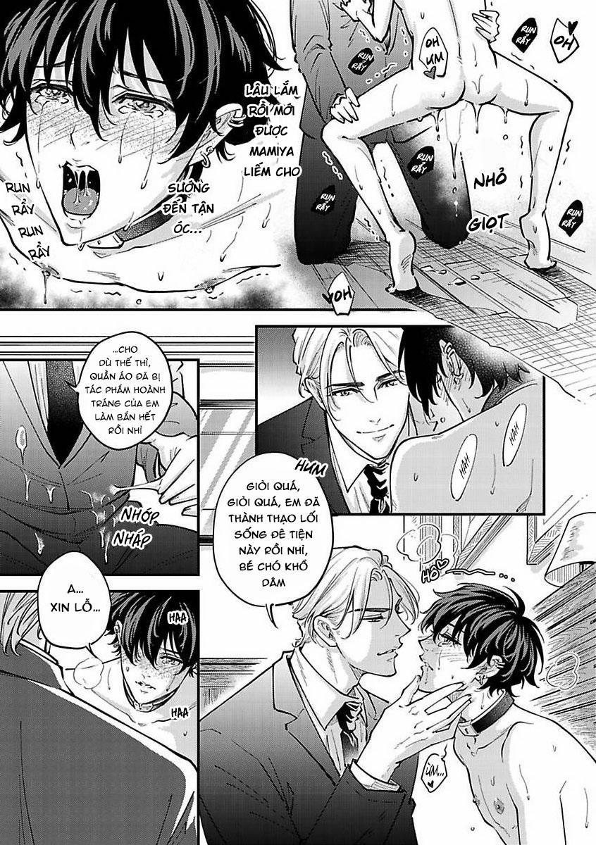Được Đại Ca Yakuza Cưng Chiều 9 trang 10