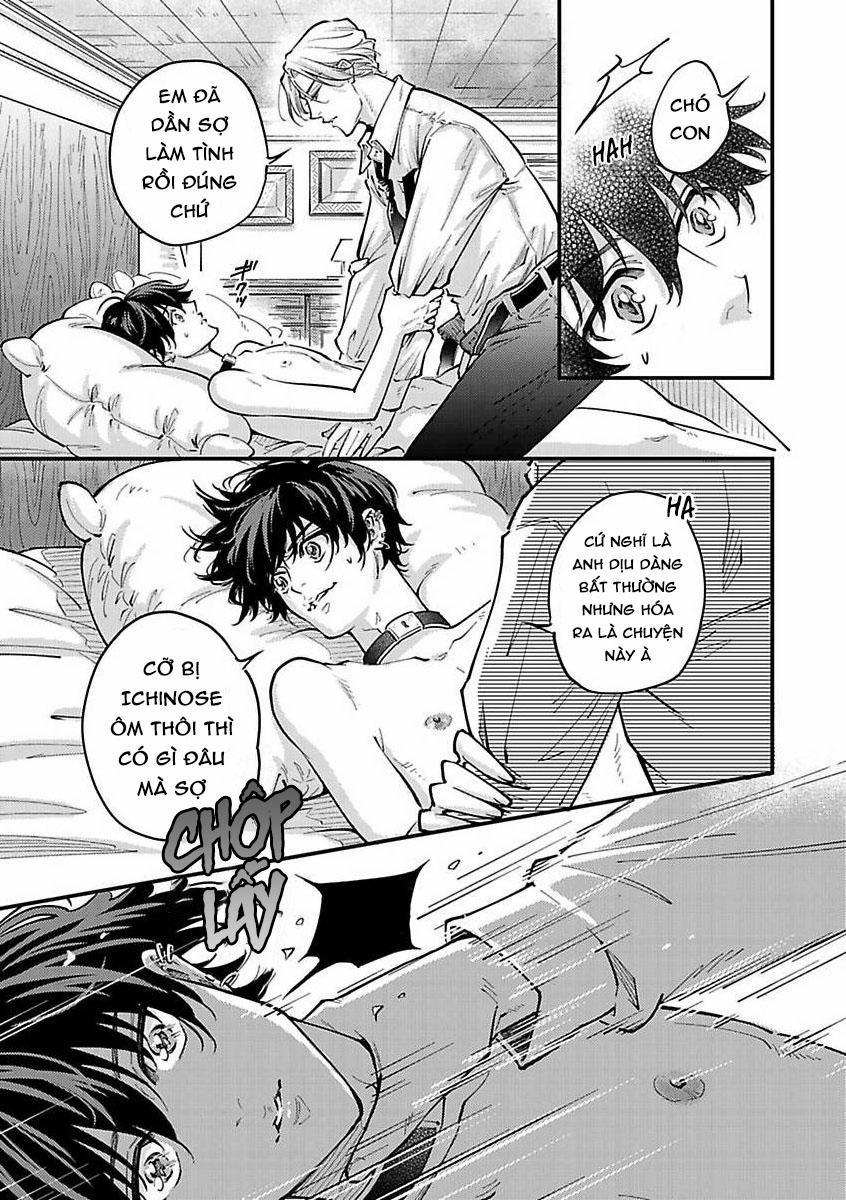 Được Đại Ca Yakuza Cưng Chiều 9 trang 12