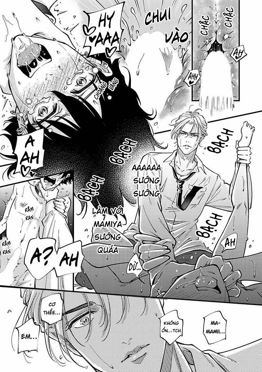 Được Đại Ca Yakuza Cưng Chiều 9 trang 16