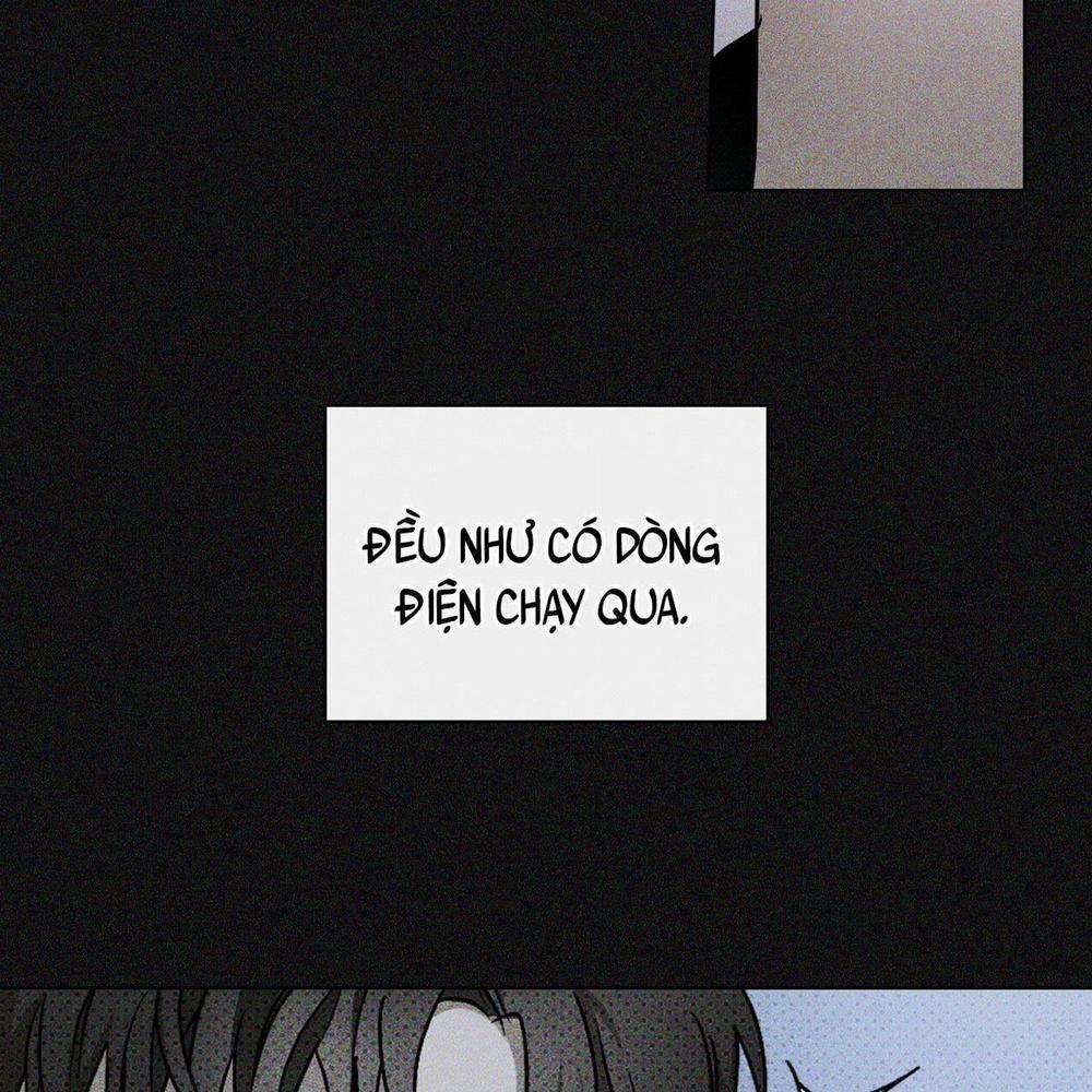 Dưới Ánh Đèn Xanh 16 trang 7