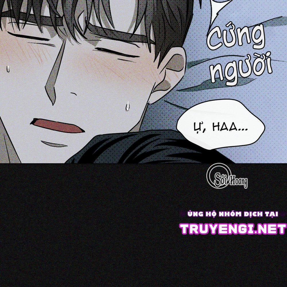 Dưới Ánh Đèn Xanh 16 trang 8