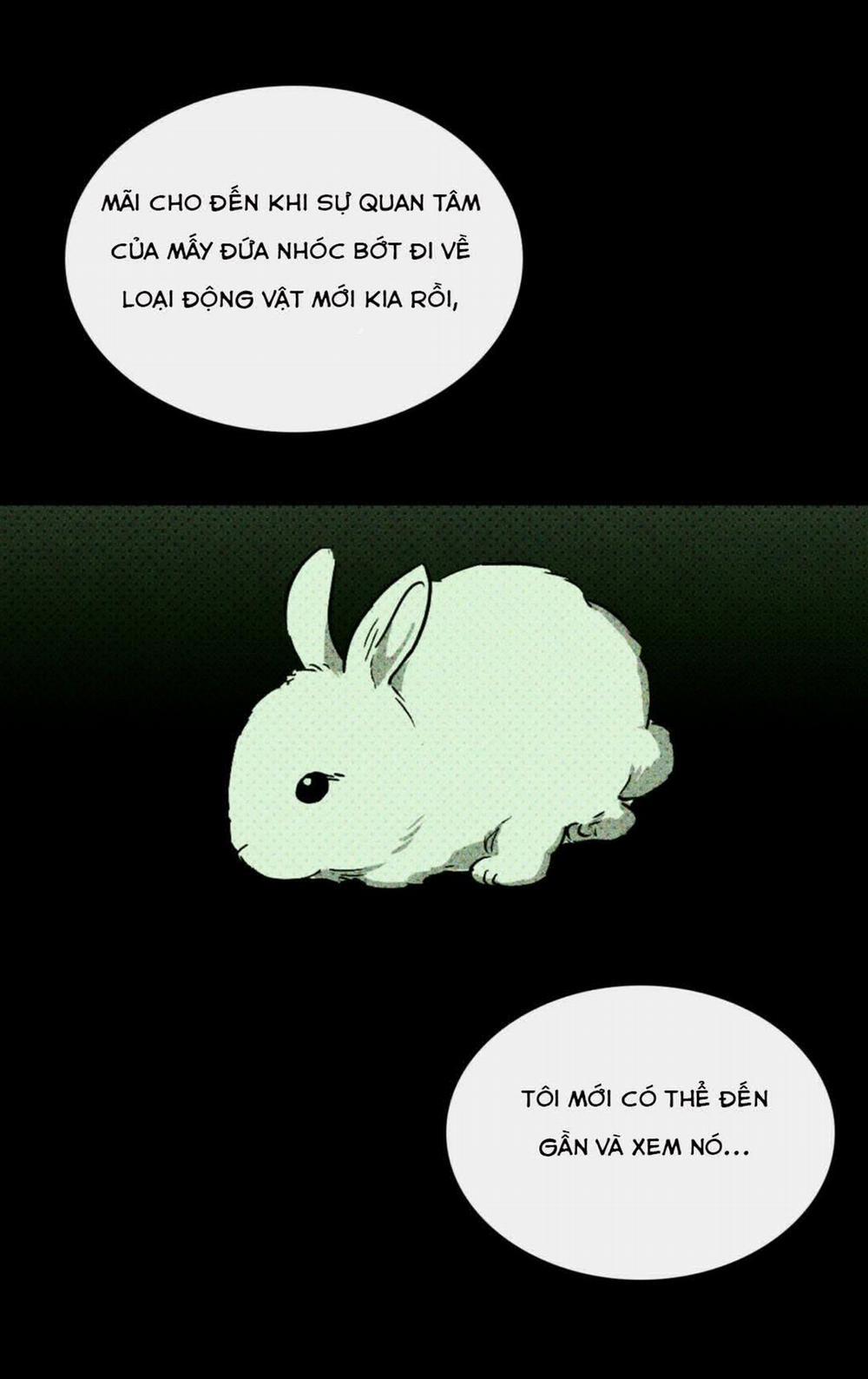 Dưới Ánh Đèn Xanh 6 trang 43