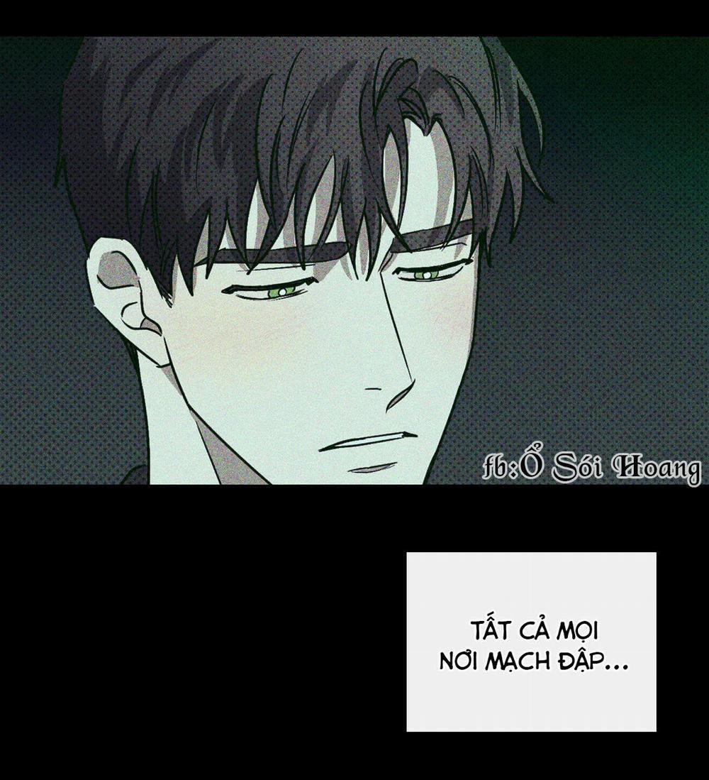 Dưới Ánh Đèn Xanh 8 trang 36