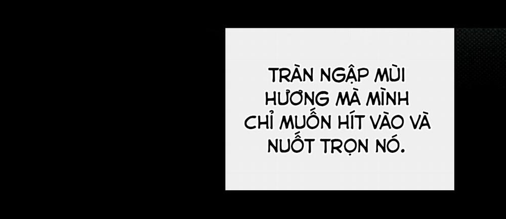 Dưới Ánh Đèn Xanh 8 trang 38