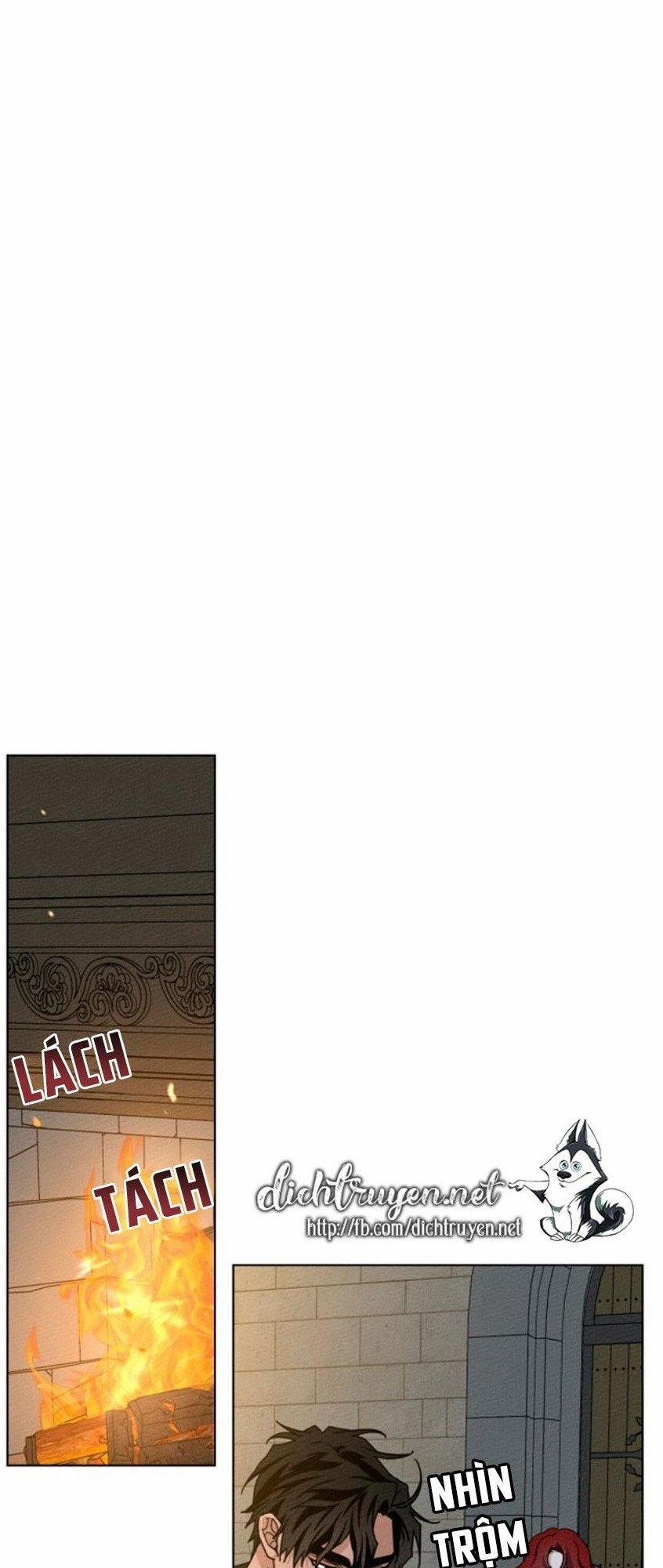 Dưới Bóng Cây Sồi (Under the Oak Tree) 14 trang 48