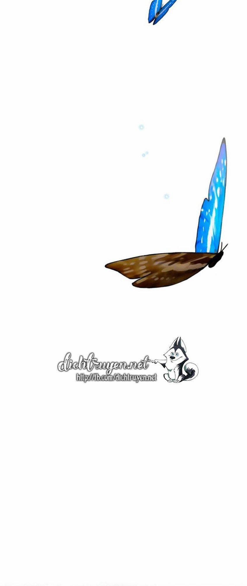 Dưới Bóng Cây Sồi (Under the Oak Tree) 16 trang 2