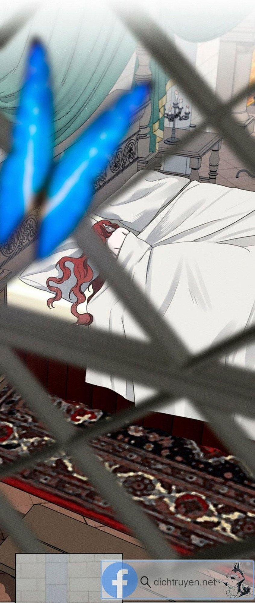 Dưới Bóng Cây Sồi (Under the Oak Tree) 16 trang 3