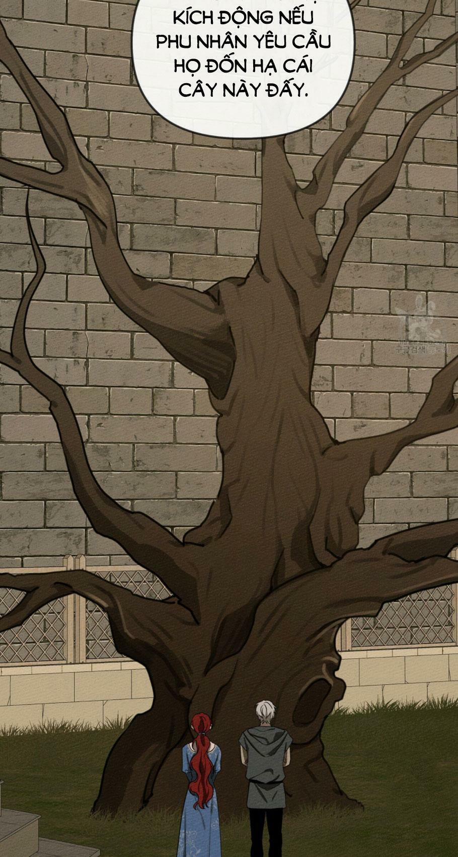 Dưới Bóng Cây Sồi (Under the Oak Tree) 18 trang 40