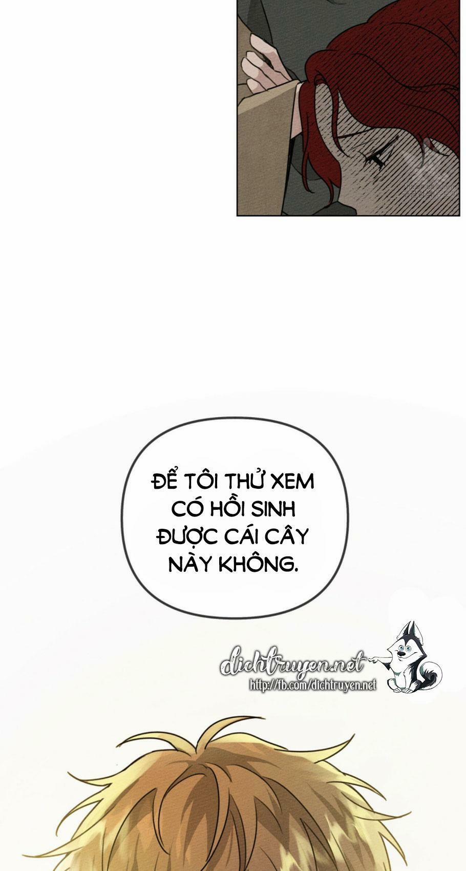Dưới Bóng Cây Sồi (Under the Oak Tree) 18 trang 63