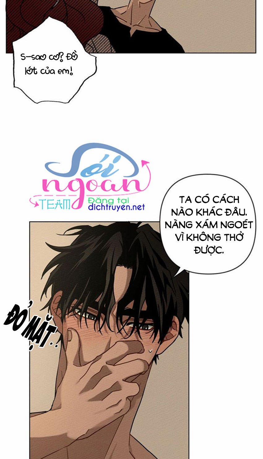 Dưới Bóng Cây Sồi (Under the Oak Tree) 4 trang 48