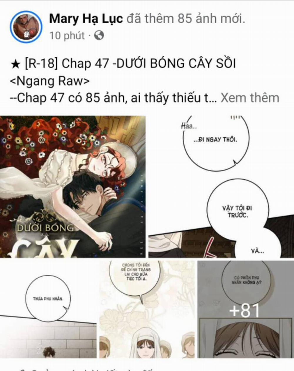 Dưới Bóng Cây Sồi 47.1 trang 0