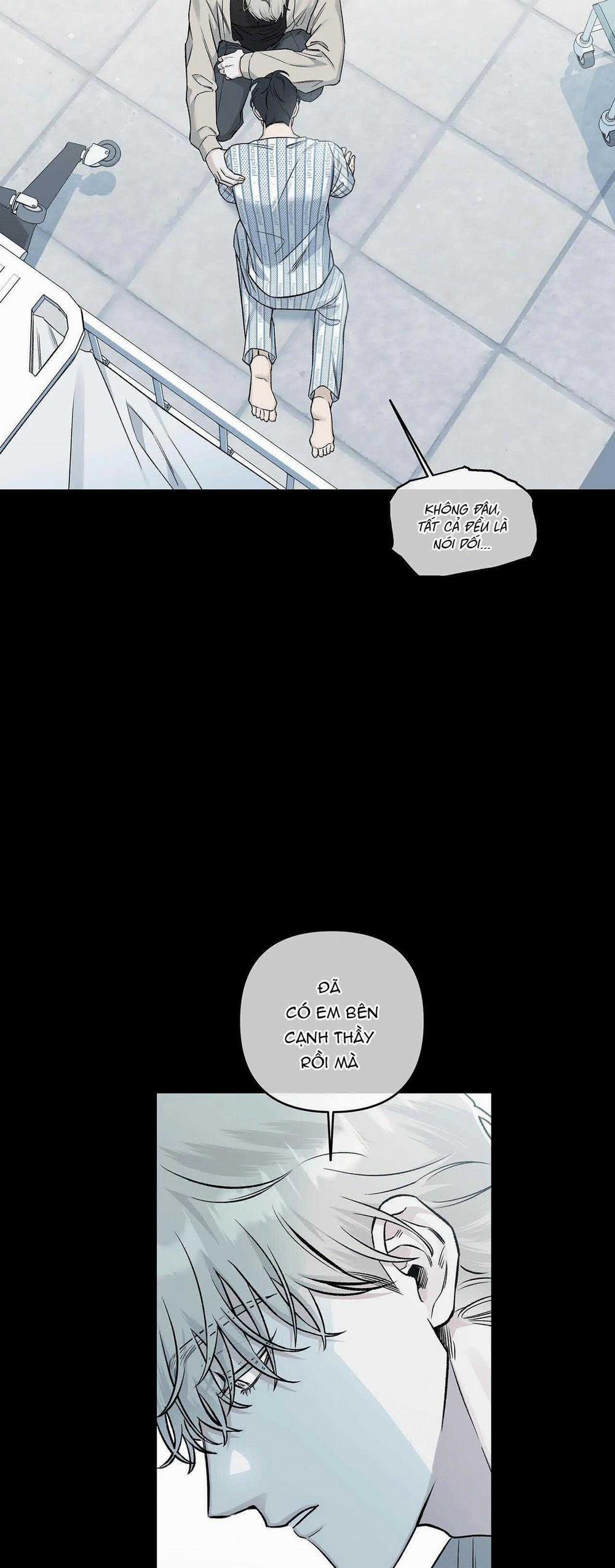 Dưới Lục Địa Xanh 10 trang 21