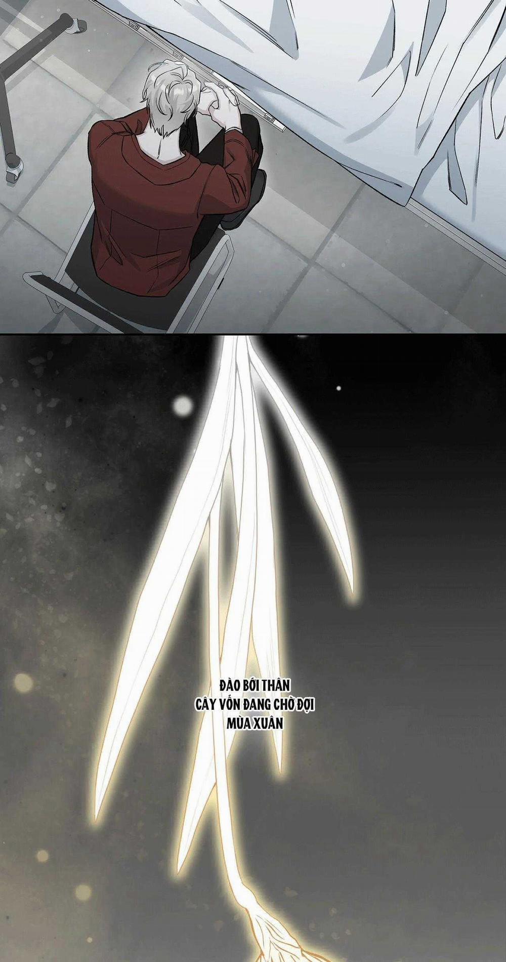 Dưới Lục Địa Xanh 10 trang 35