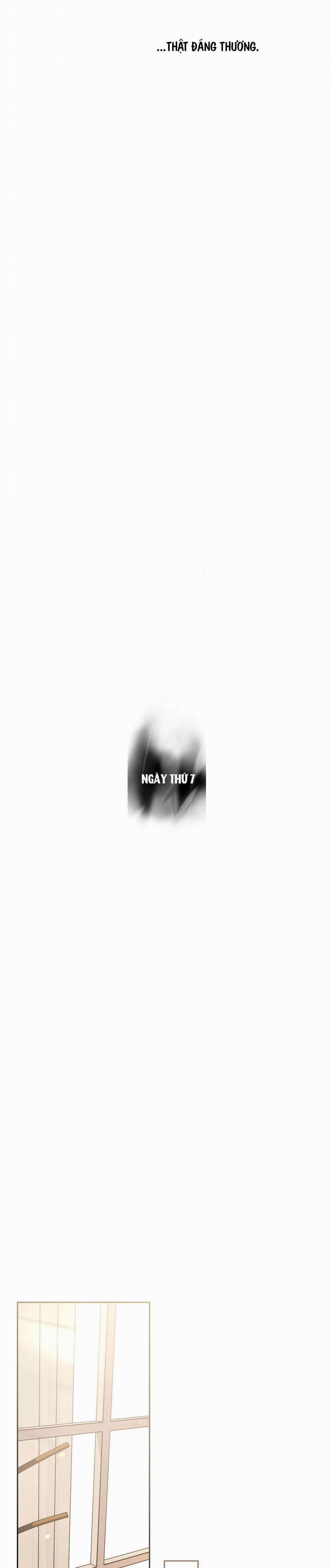 Dưới Lục Địa Xanh 7 trang 25