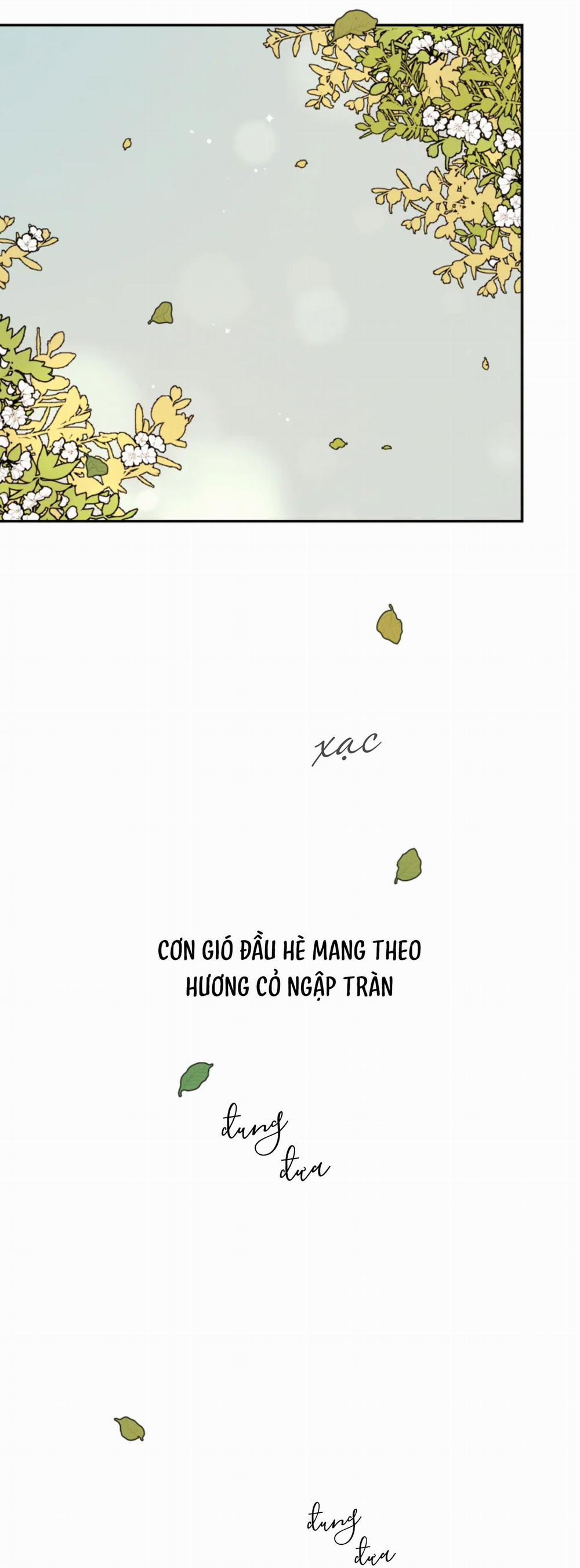 Dưới Tán Hoa Mai 10 trang 67