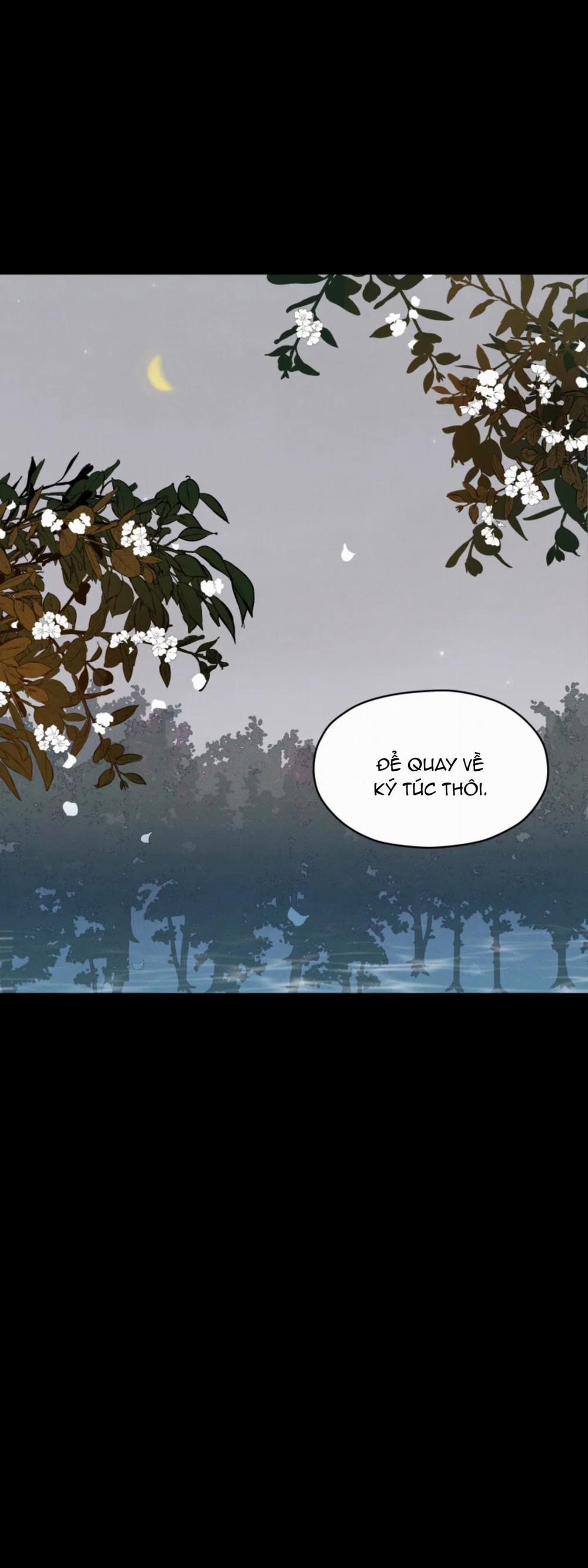 Dưới Tán Hoa Mai 16 trang 12