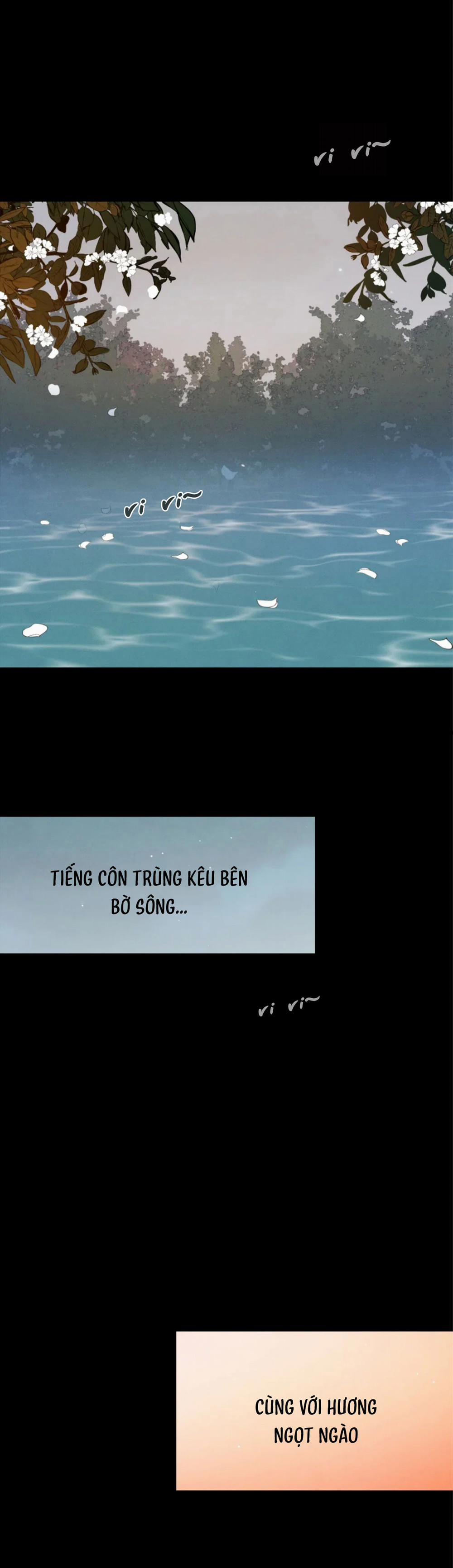 Dưới Tán Hoa Mai 16 trang 4