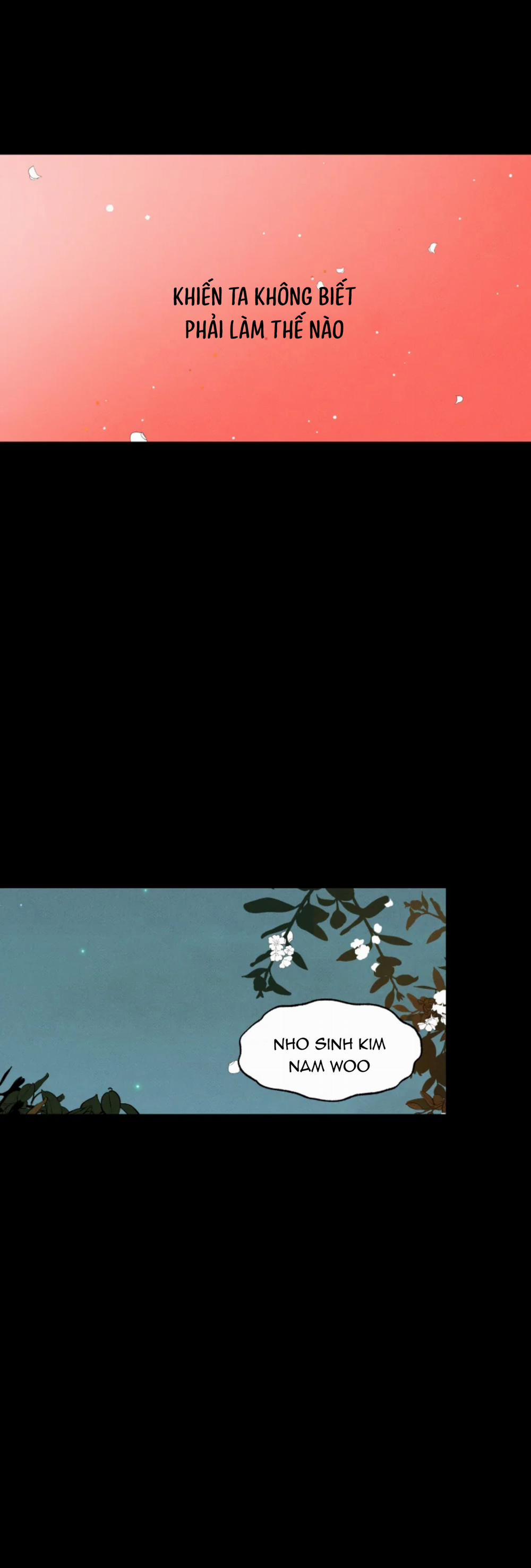 Dưới Tán Hoa Mai 16 trang 7