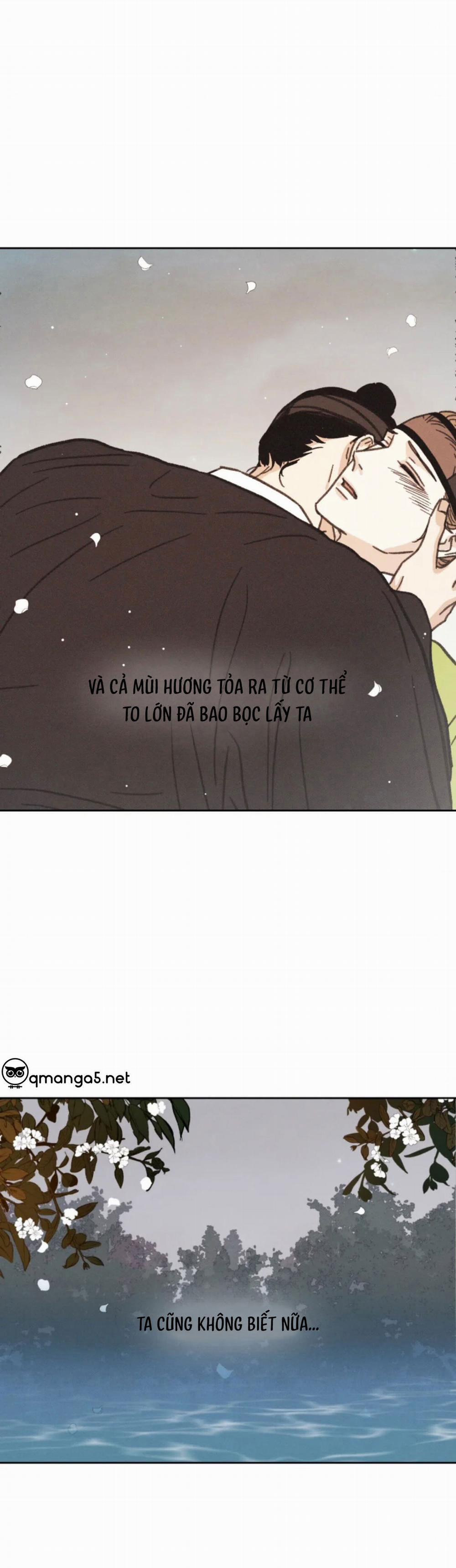 Dưới Tán Hoa Mai 19 trang 15