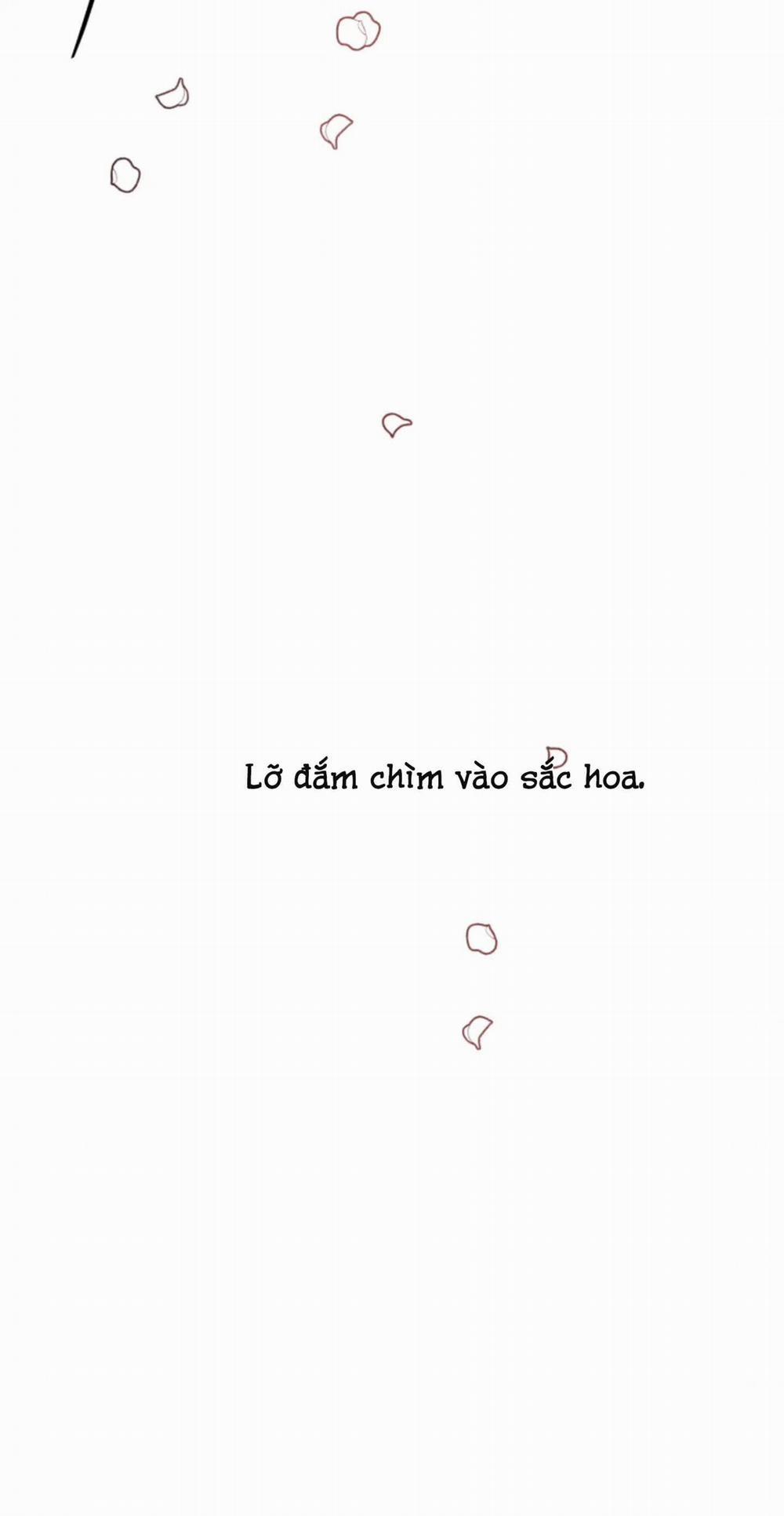 Dưới Tán Hoa Mai 2 trang 27