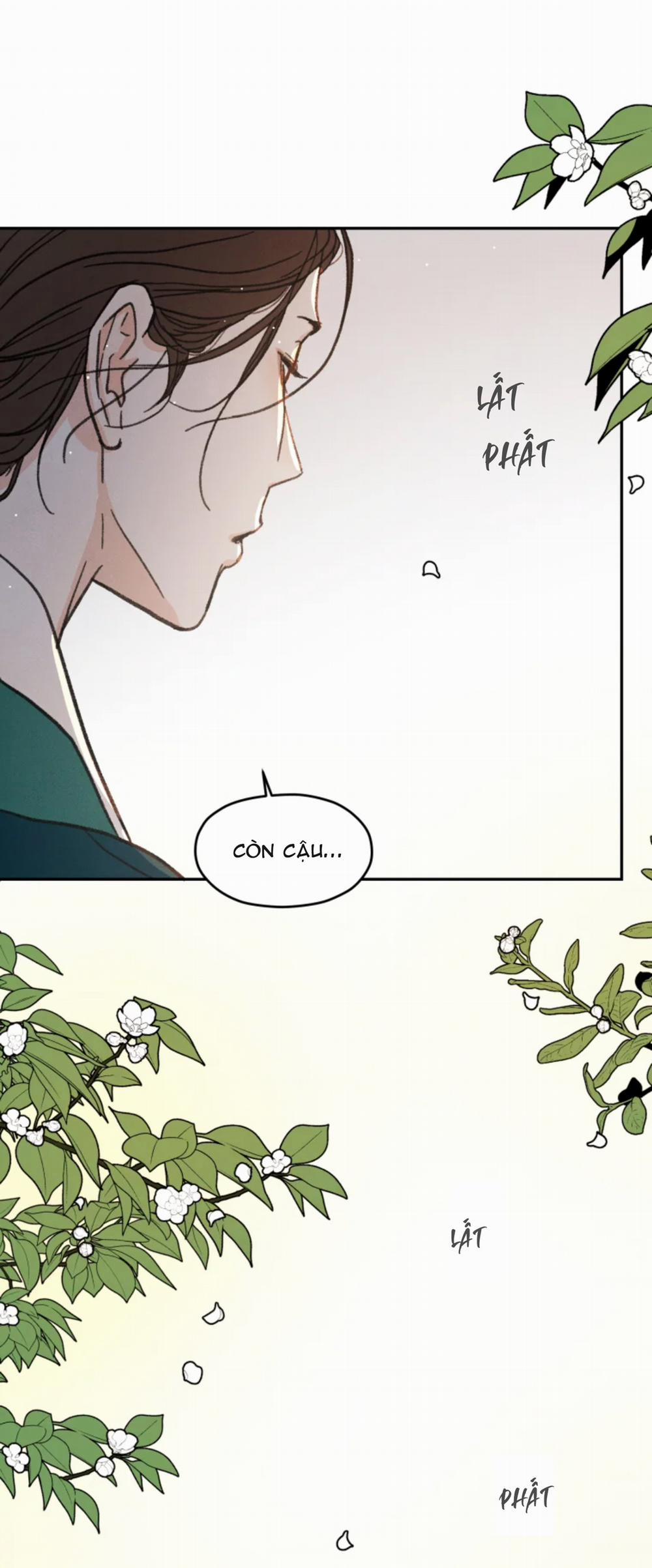Dưới Tán Hoa Mai 7 trang 23