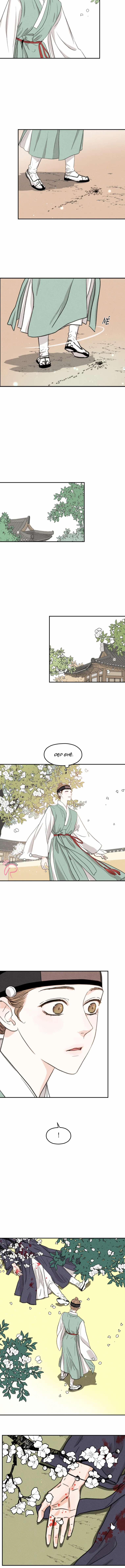 Dưới Tán Hoa Mơ 1 trang 11