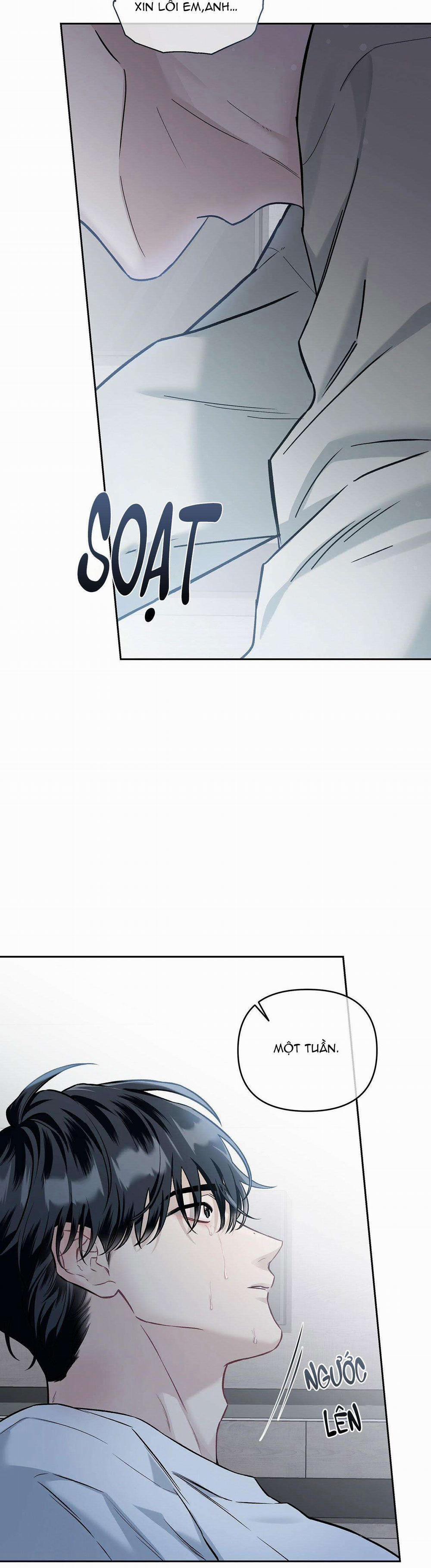 Dưới Vùng Đất Xanh 2 trang 41