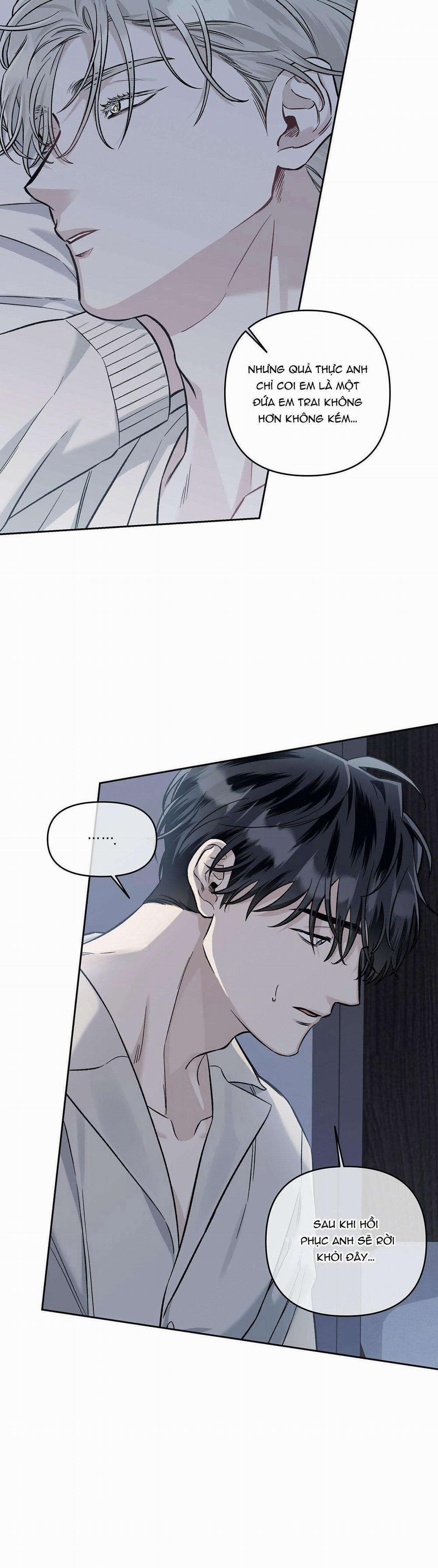 Dưới Vùng Đất Xanh 6 trang 39