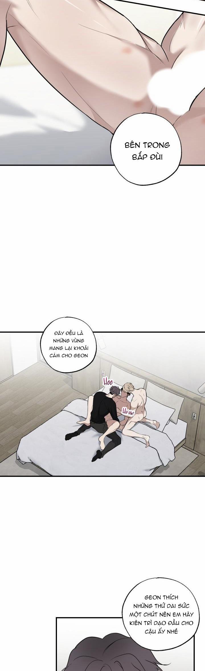 ĐƯỜNG CHÉO 11 trang 19