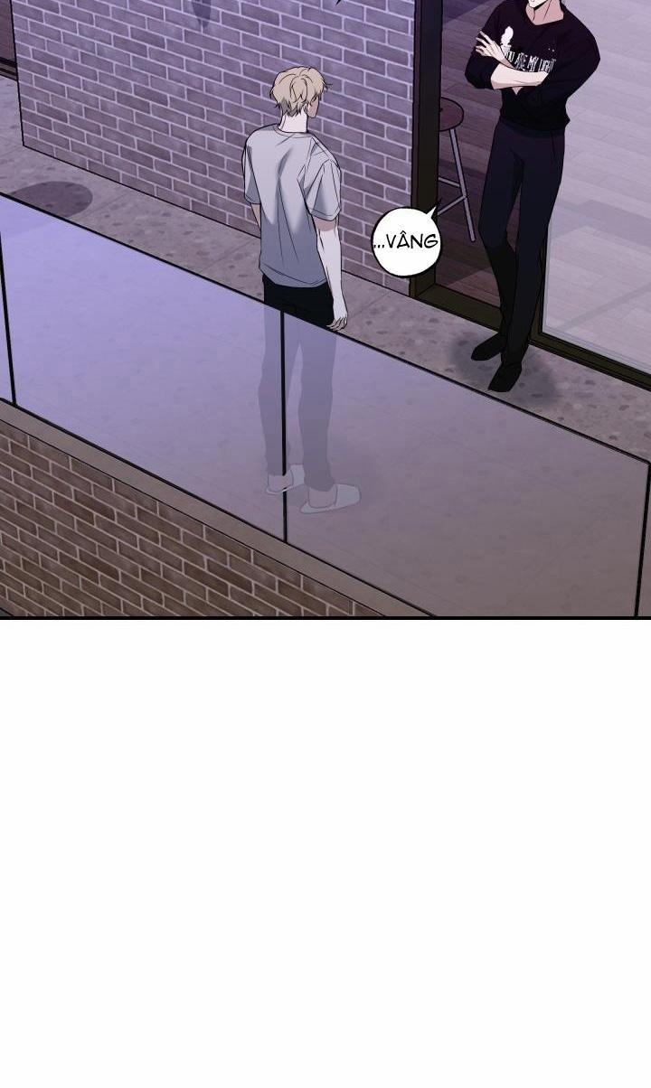 ĐƯỜNG CHÉO 11 trang 37