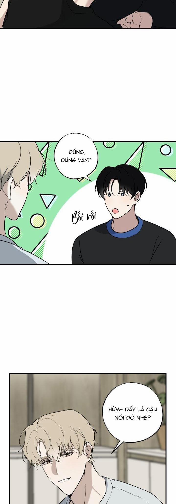 ĐƯỜNG CHÉO 13 trang 17