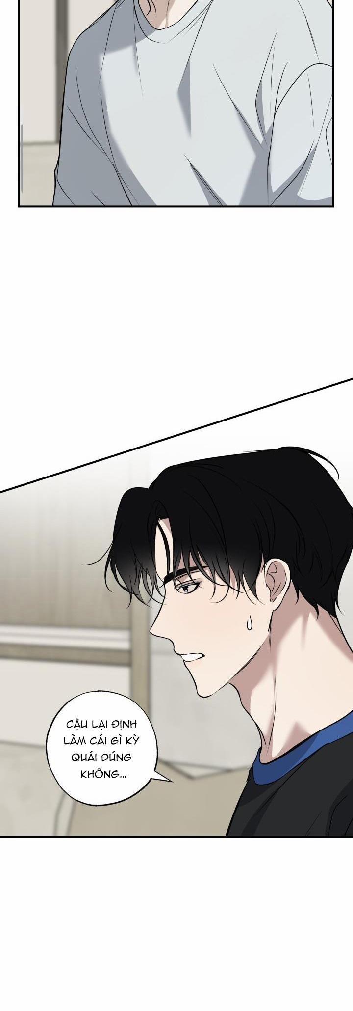 ĐƯỜNG CHÉO 13 trang 18