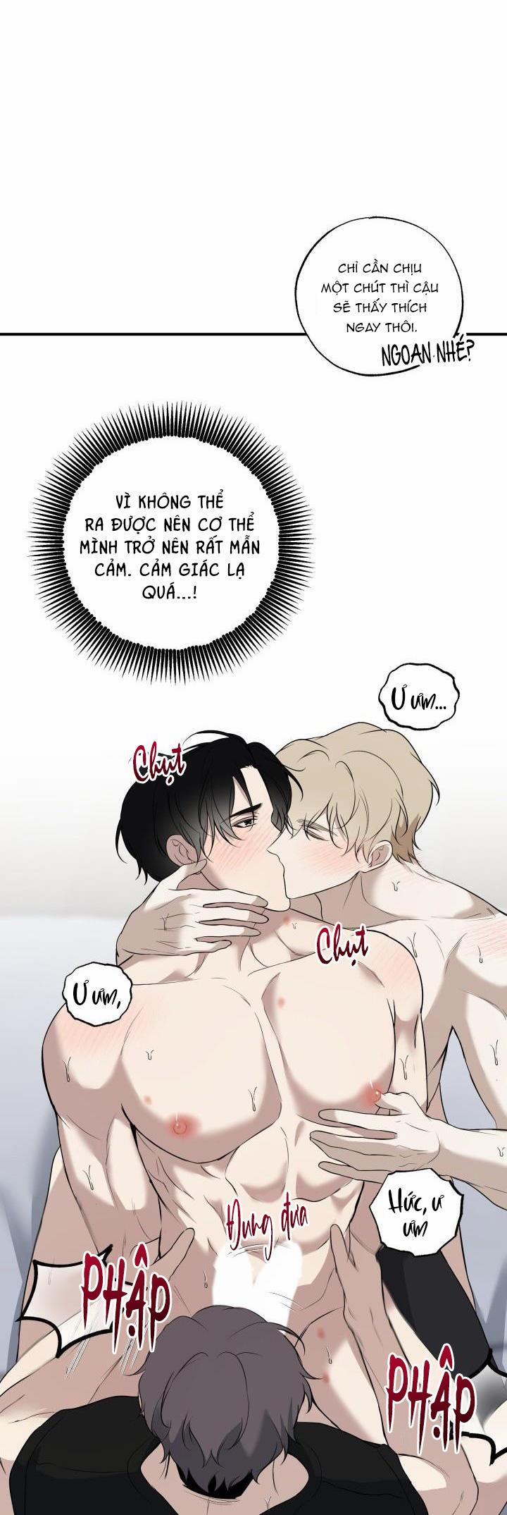 ĐƯỜNG CHÉO 13 trang 24