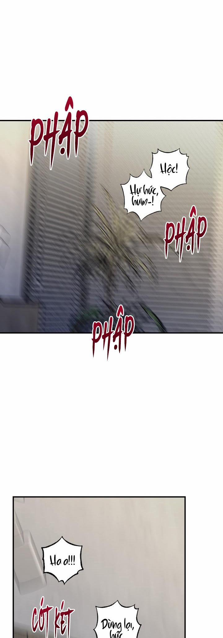 ĐƯỜNG CHÉO 13 trang 36