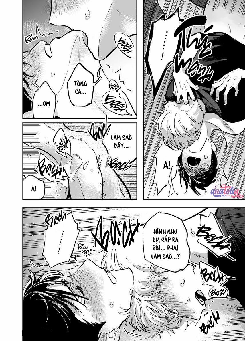 Dưỡng Hổ Vi Họa 12 trang 16