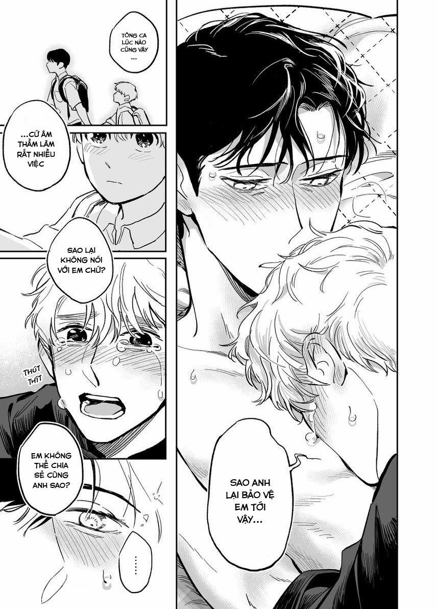 Dưỡng Hổ Vi Họa 12 trang 19