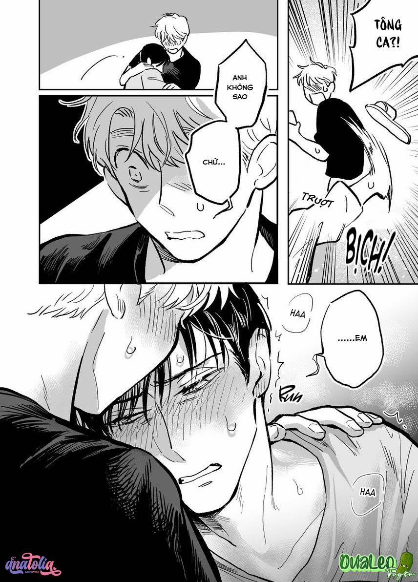 Dưỡng Hổ Vi Họa 12 trang 6