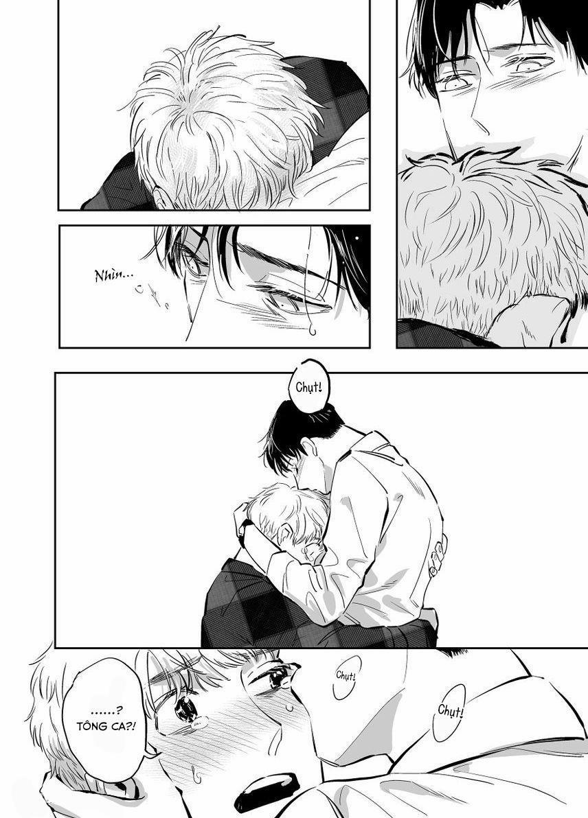 Dưỡng Hổ Vi Họa 4 trang 26