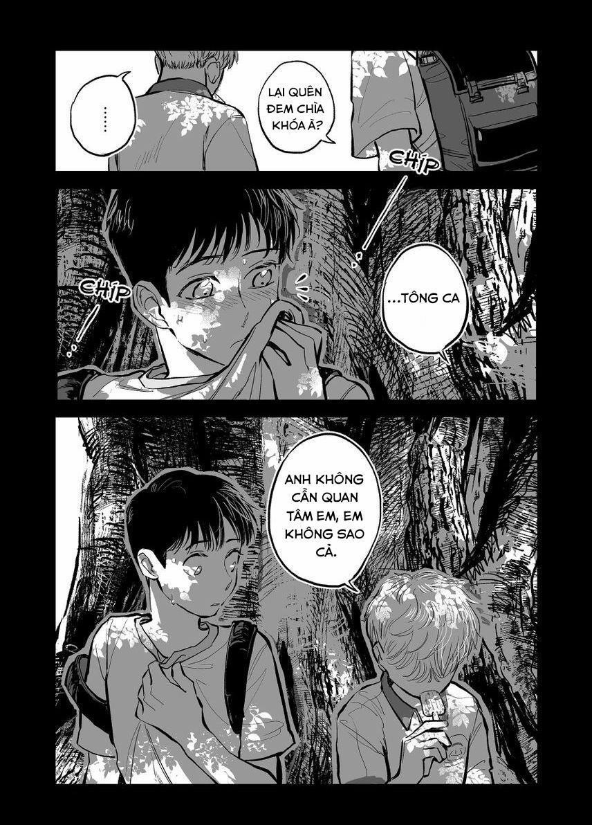 Dưỡng Hổ Vi Họa 6 trang 5