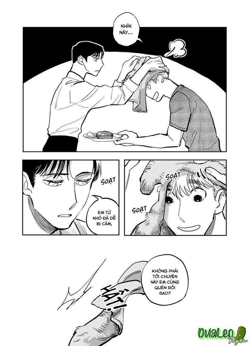 Dưỡng Hổ Vi Họa 8 trang 13
