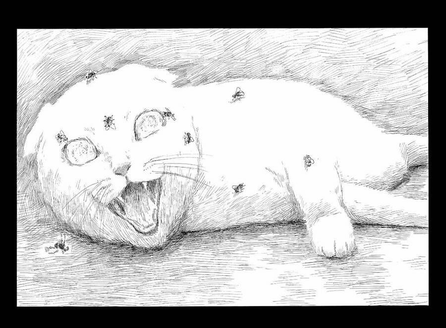 Đường Mòn Máu 125 trang 17