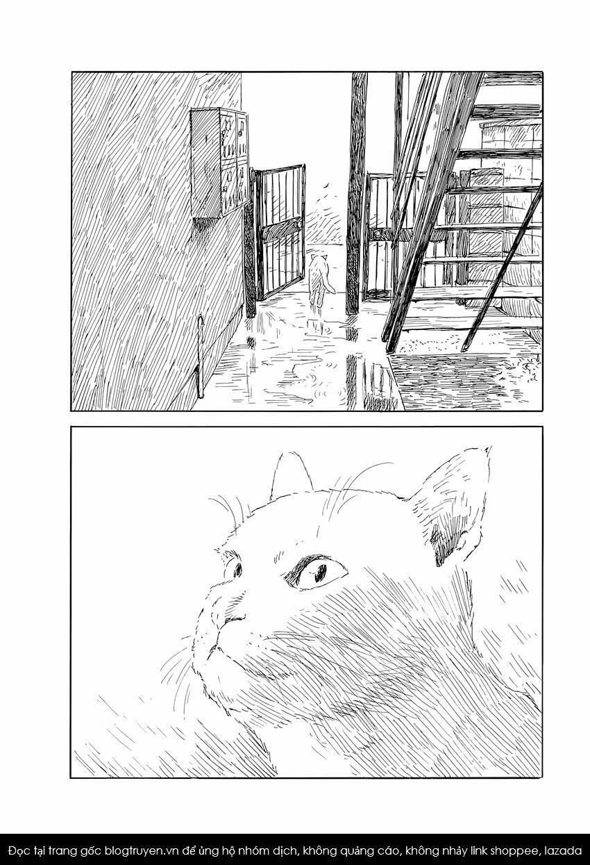 Đường Mòn Máu 139 trang 21