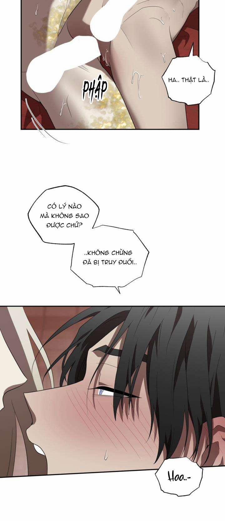 Dưỡng Thú Cưng 54 trang 29