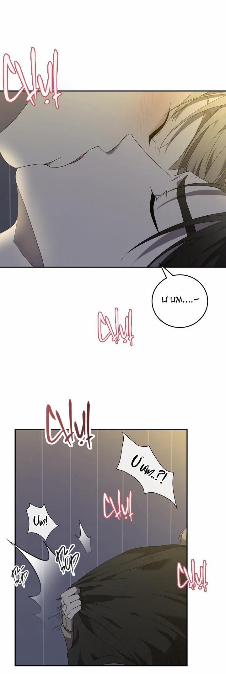 Dưỡng Thú Cưng 55 ngoại noel trang 30